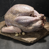 Thumbnail for Pasture-Raised Whole Turkey - Farm Field Table
